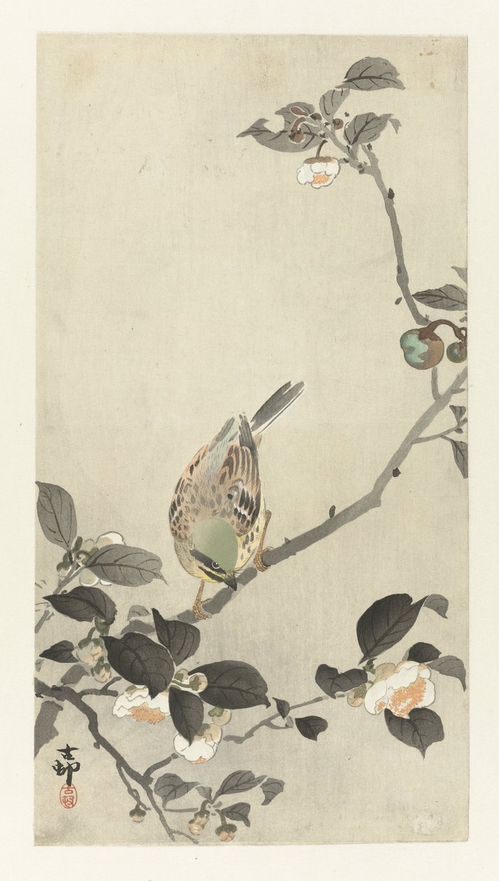 Bruant sur une branche en fleurs - Ohara Koson