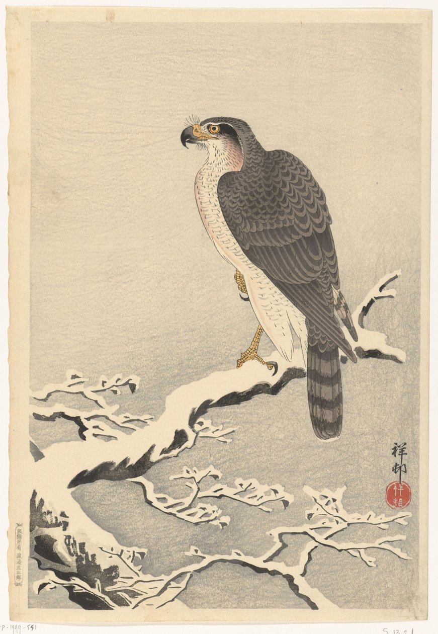 Faucon sur une branche de pin enneigée - Ohara Koson