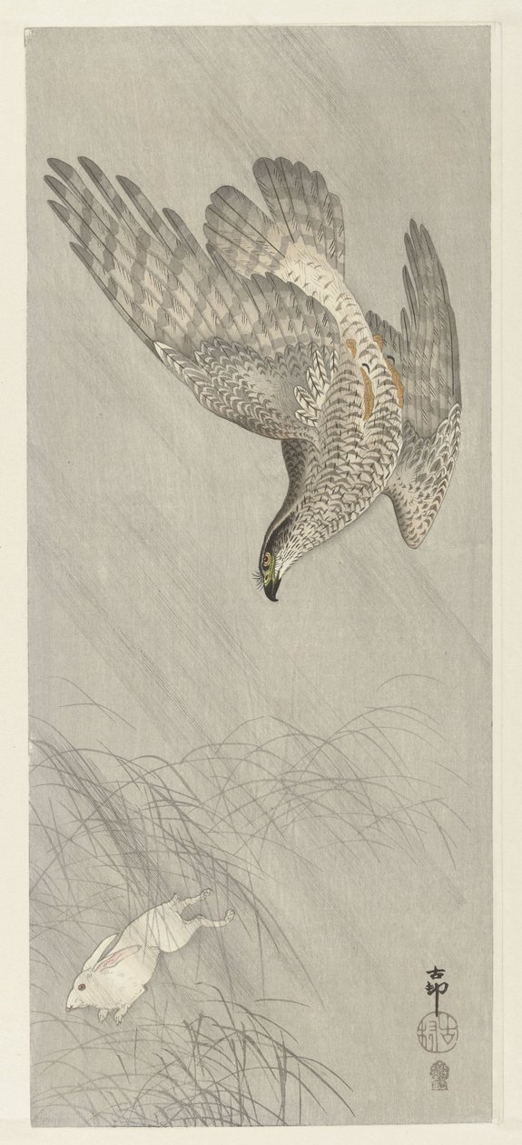 Faucon chassant un lièvre - Ohara Koson