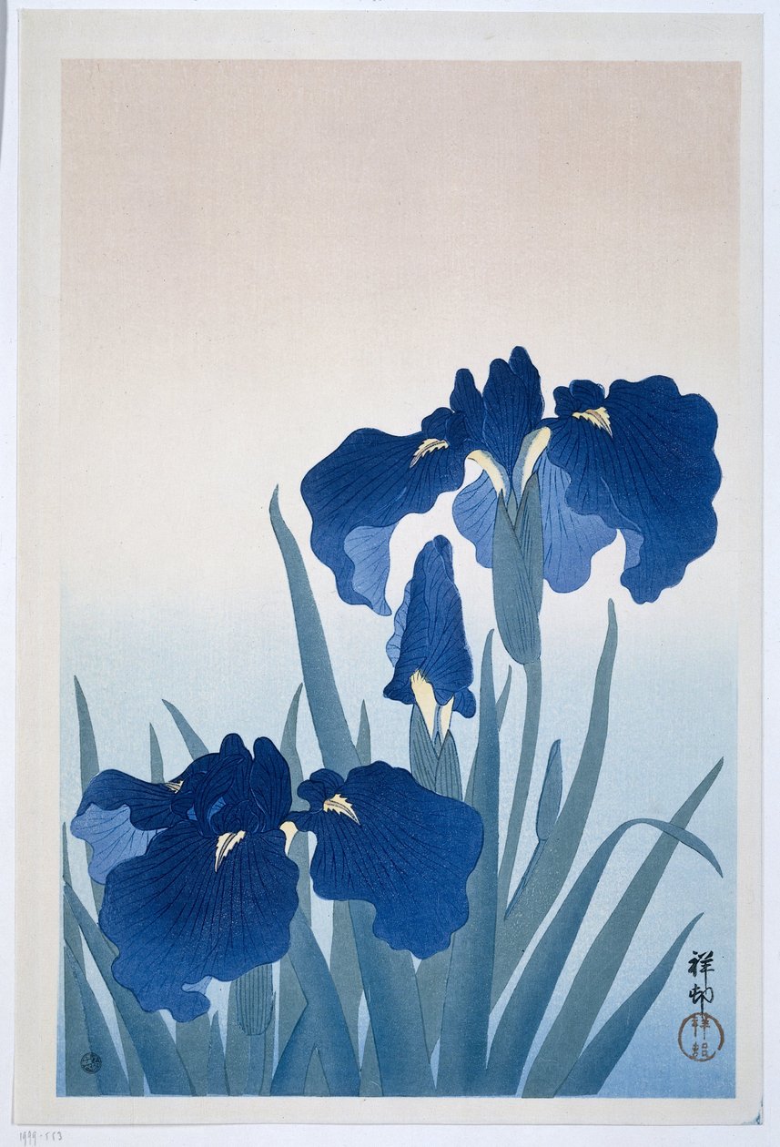 Iris, 1925-36 - Ohara Koson