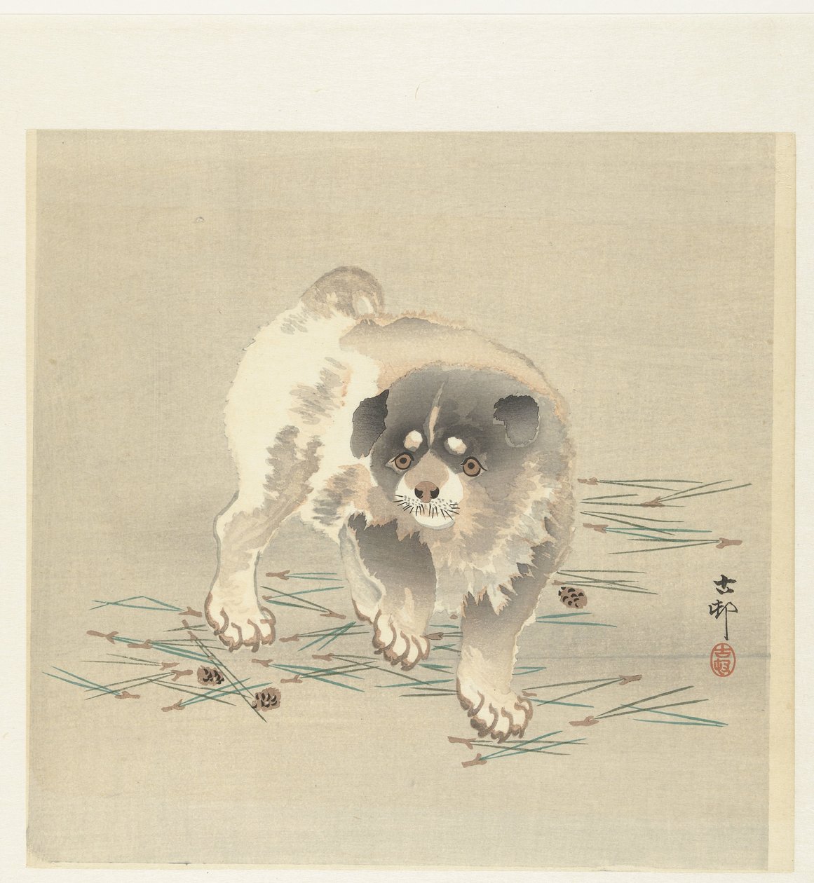 Jeune chien - Ohara Koson