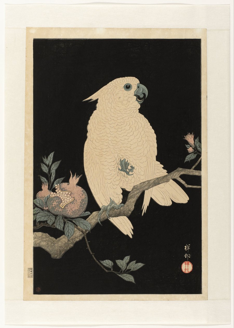 Cacatoès avec grenade - Ohara Koson