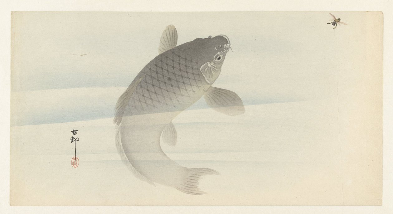 Carpe et mouche - Ohara Koson