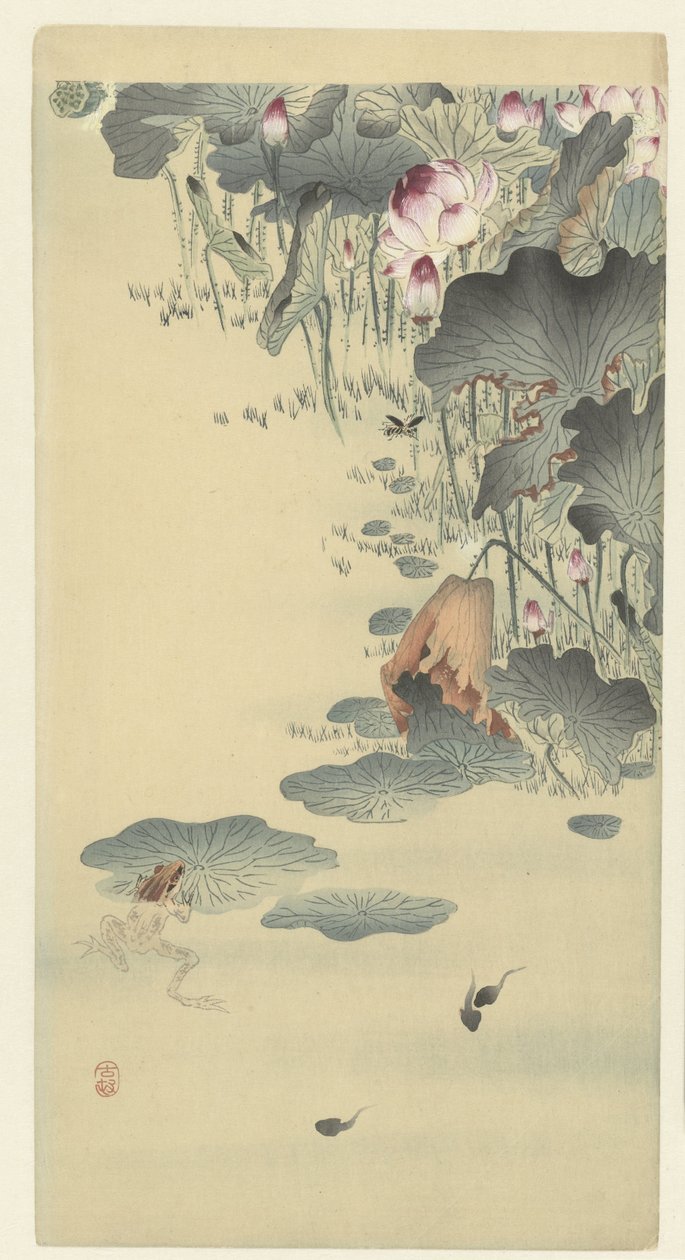Grenouille et têtards - Ohara Koson