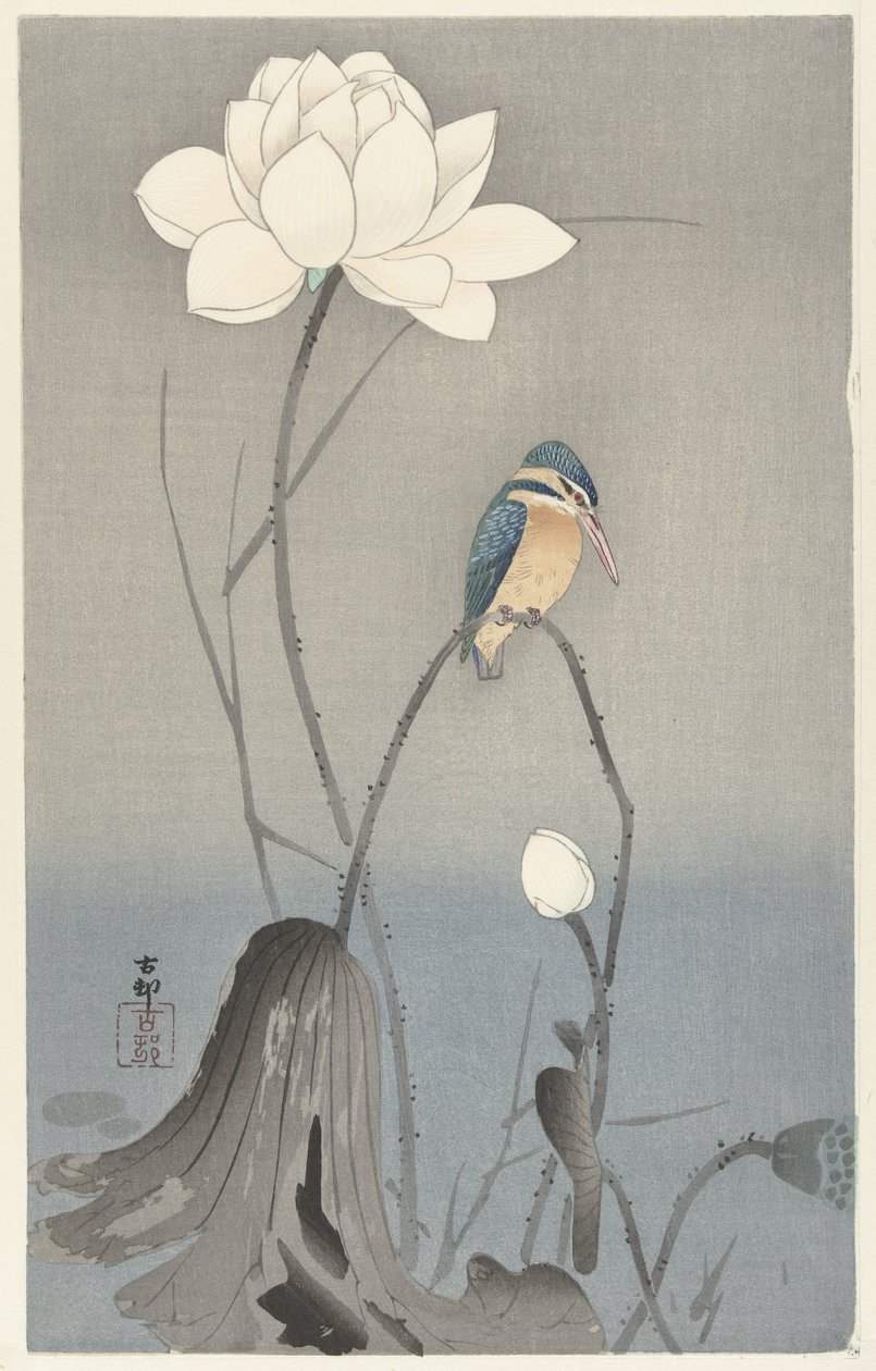 Martin-pêcheur avec fleur de lotus - Ohara Koson