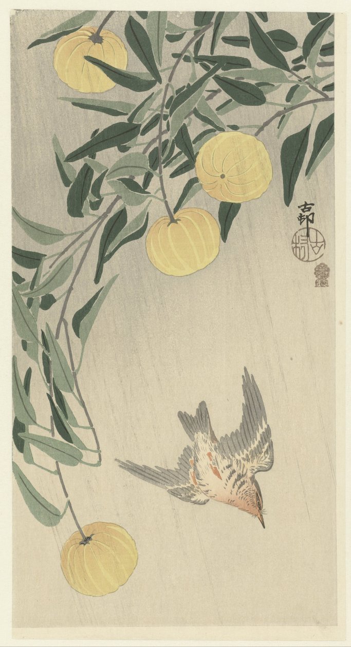 Coucou sous la pluie - Ohara Koson