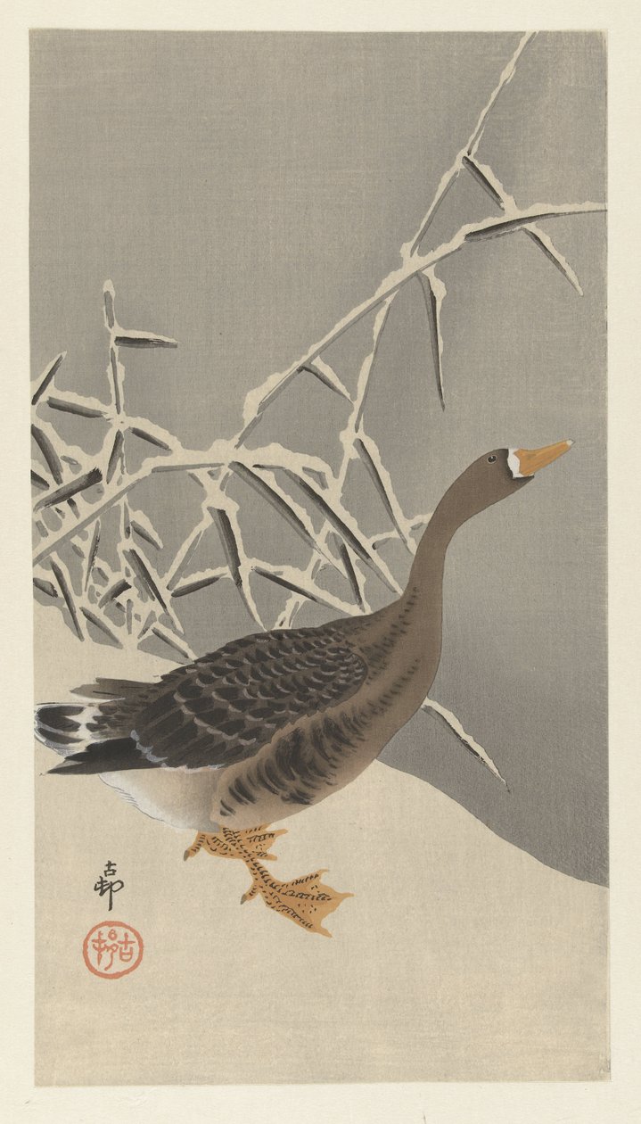 Oie cendrée dans la neige - Ohara Koson