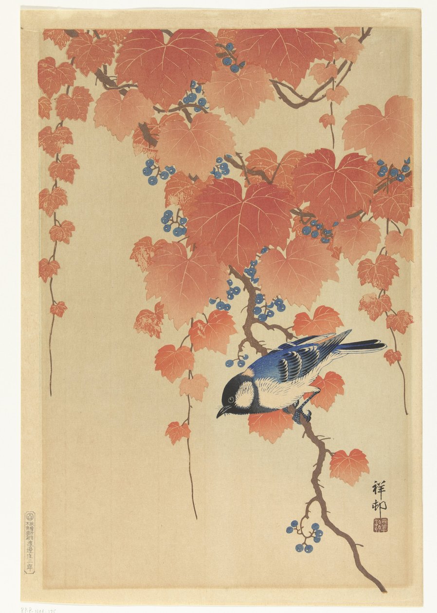 Mésange sur une branche de paulownia - Ohara Koson