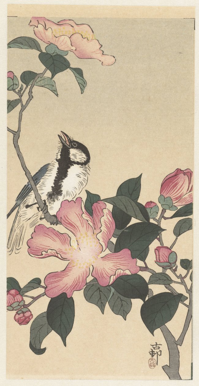 Mésange sur une branche avec des fleurs roses - Ohara Koson