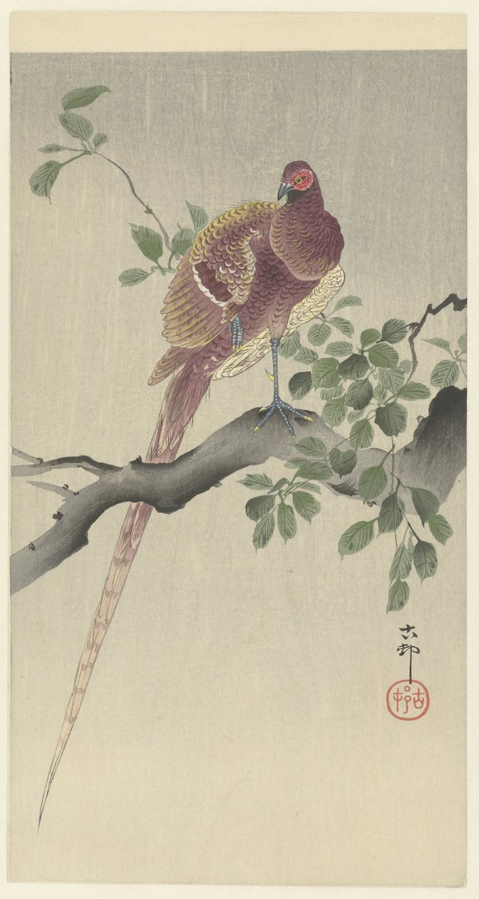 Faisan cuivré - Ohara Koson