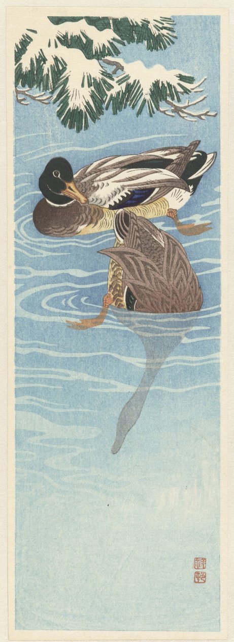 Couple de canards sauvages dans l