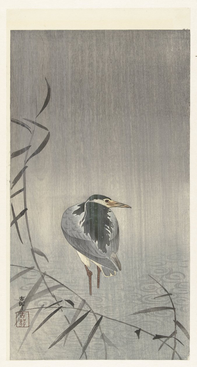 Canard sous la pluie - Ohara Koson