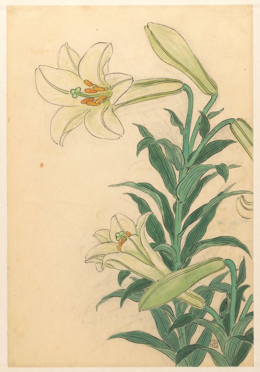Lys Teppoyuri - Ohara Koson