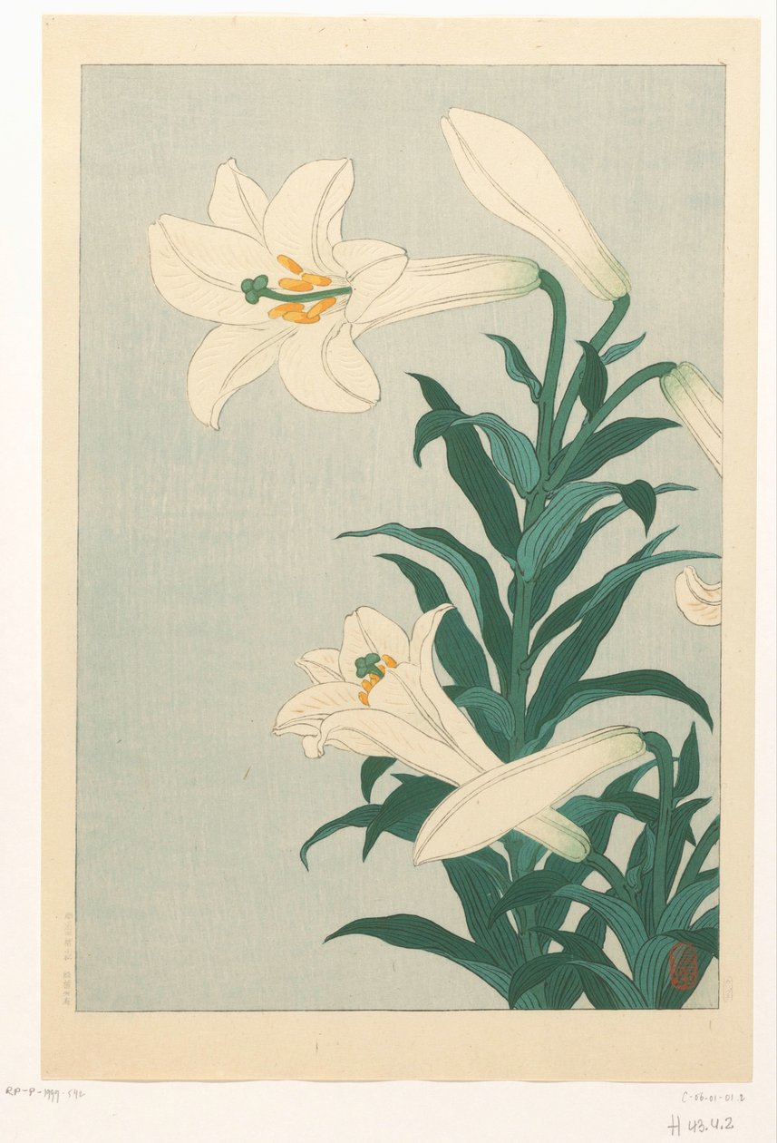 Lys - Ohara Koson