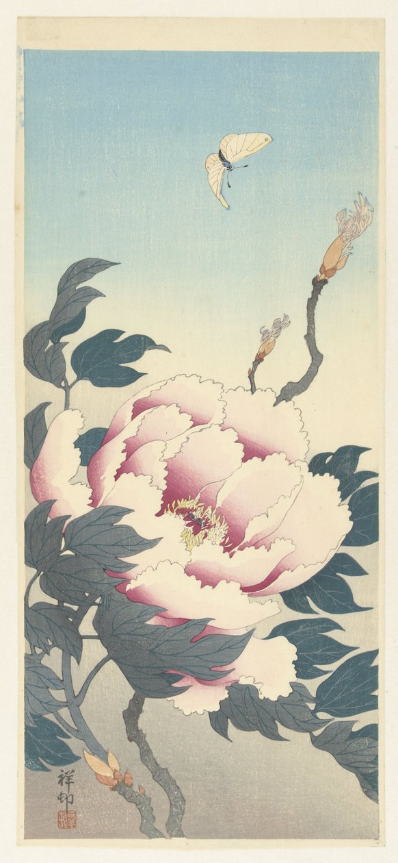 Pivoine et un papillon - Ohara Koson