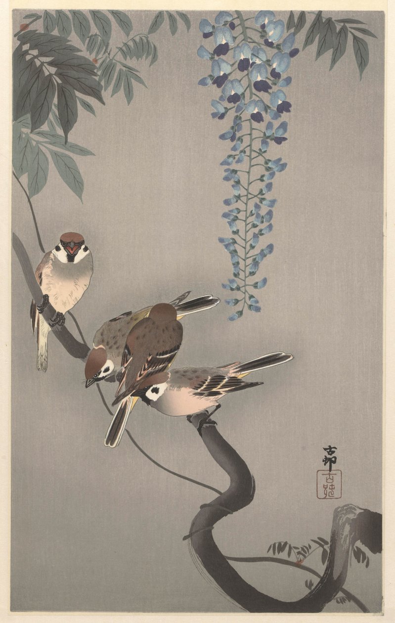 Moineaux à collier près de la glycine - Ohara Koson