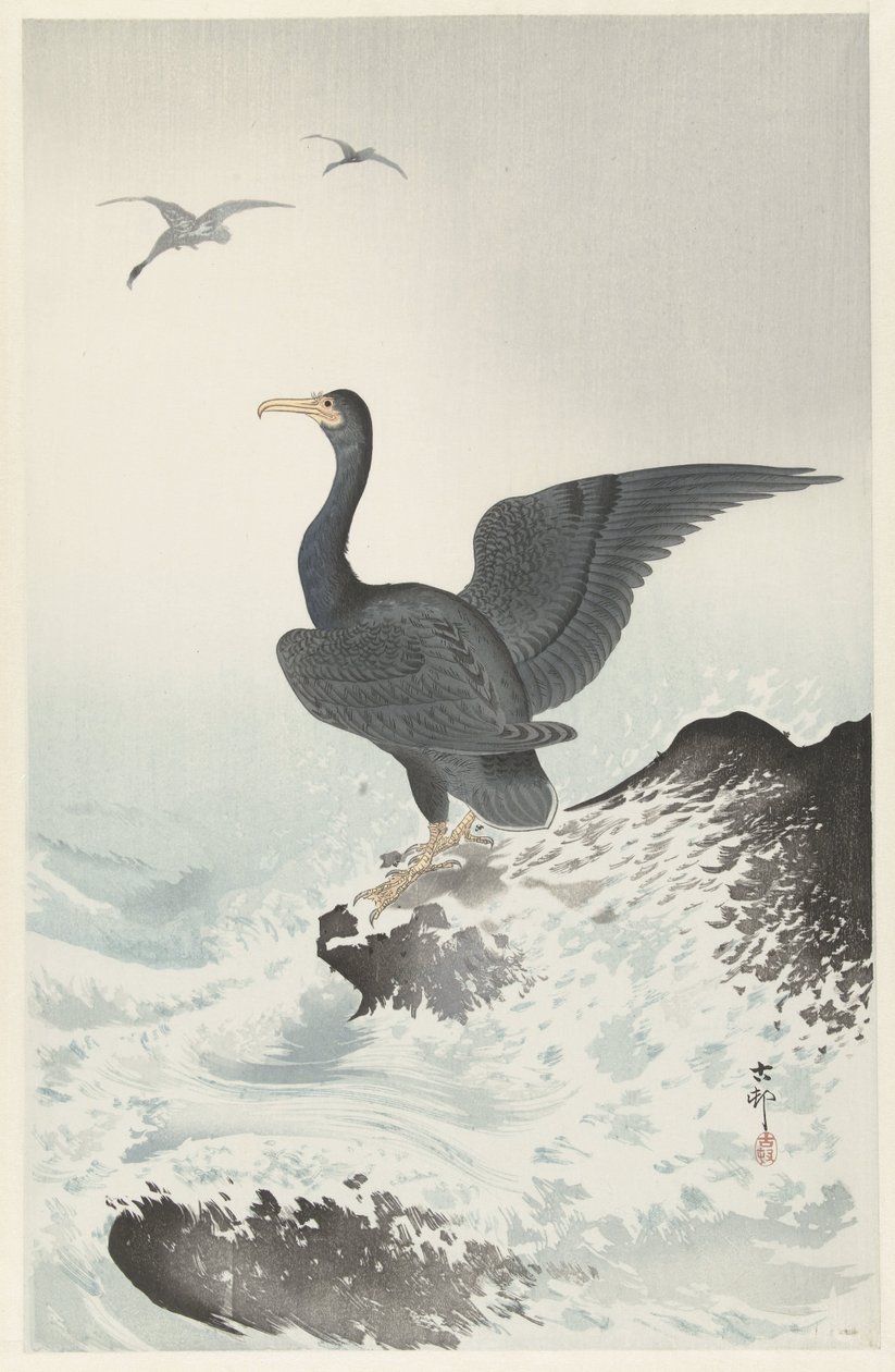 Cormoran à masque rouge sur un rocher - Ohara Koson