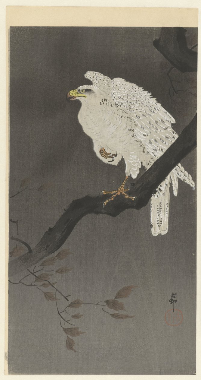 Aigle des neiges sur une branche - Ohara Koson