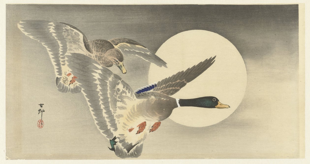 Deux canards sous la pleine lune - Ohara Koson