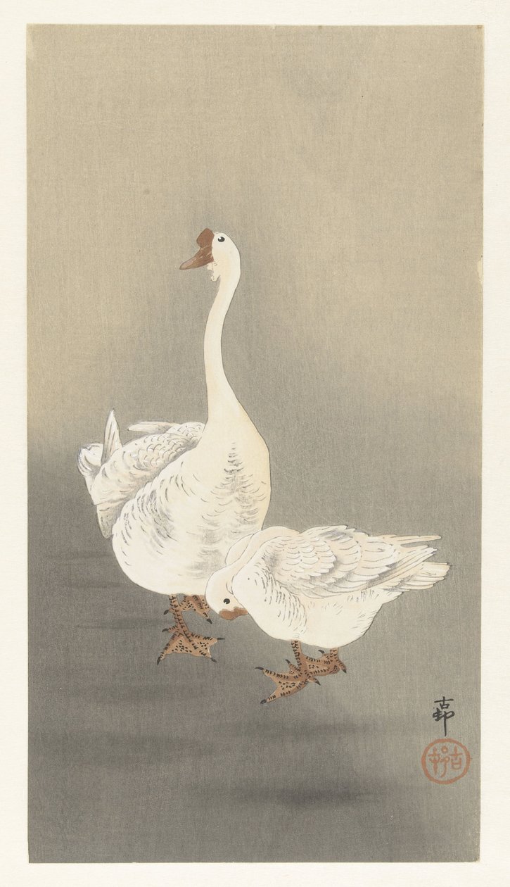 Deux oies - Ohara Koson
