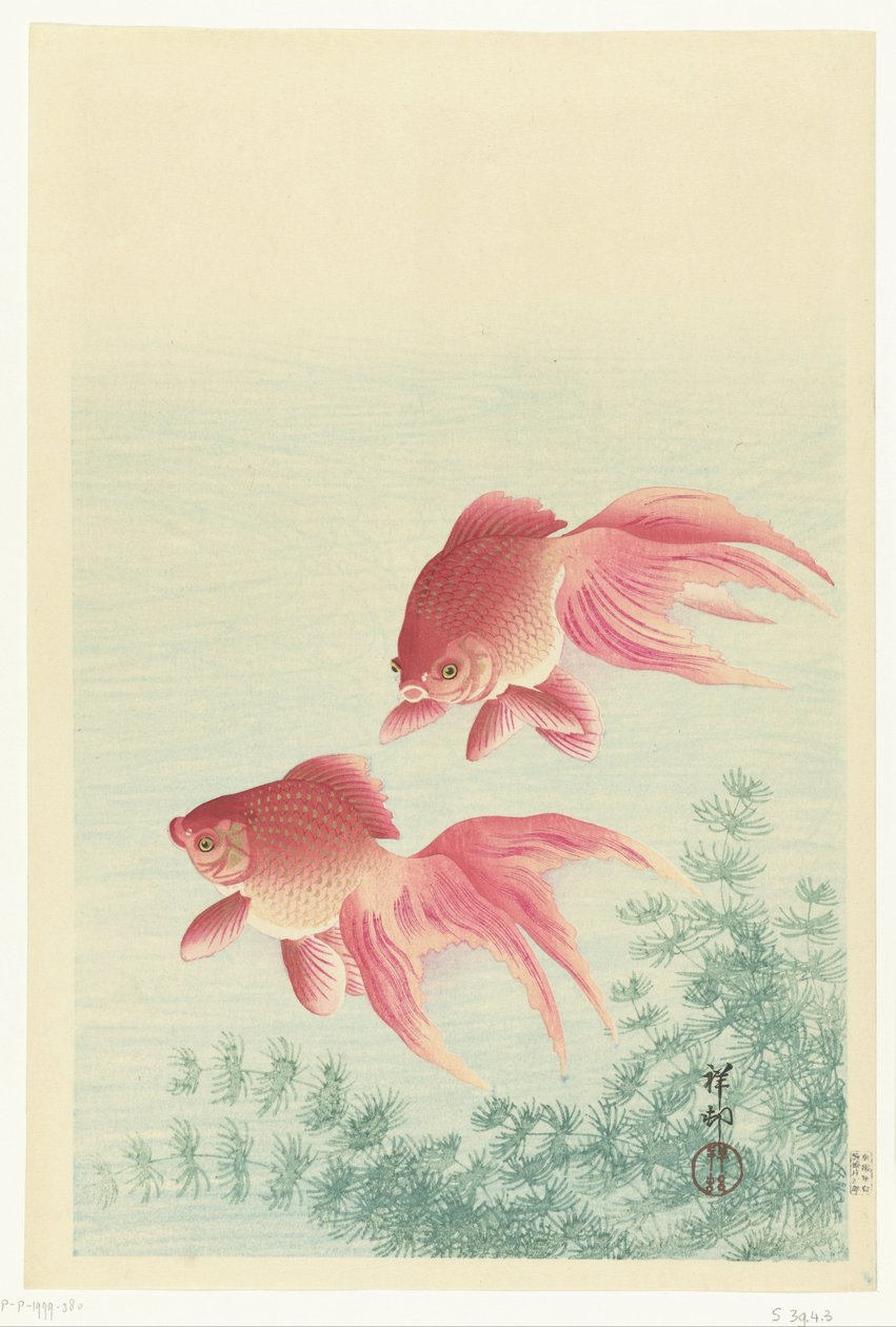 Deux poissons rouges à queue de voile - Ohara Koson