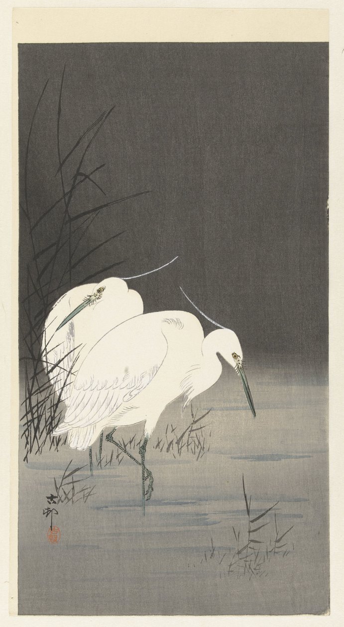 Deux hérons argentés dans les roseaux - Ohara Koson