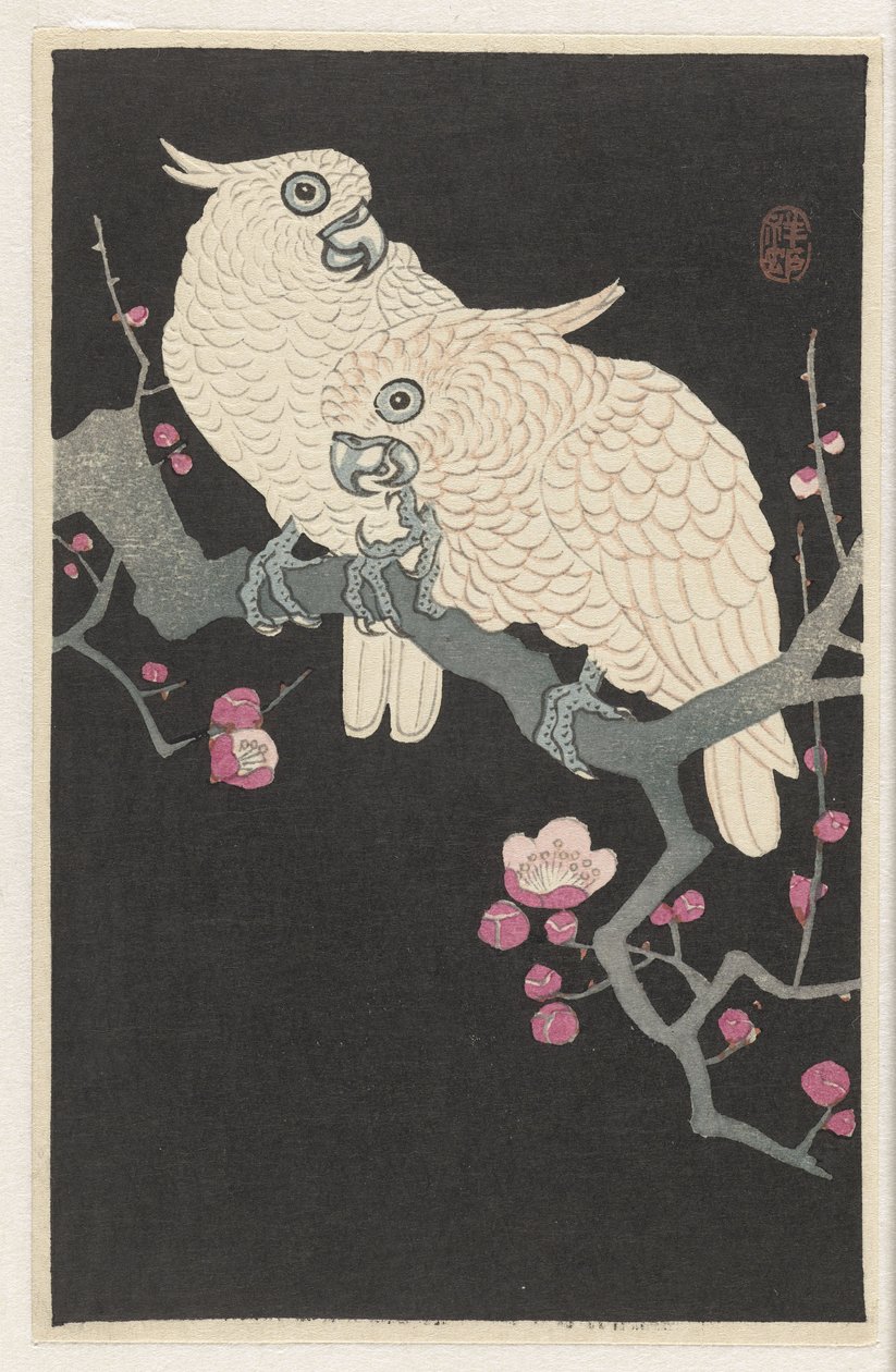 Deux cacatoès et fleurs de prunier - Ohara Koson