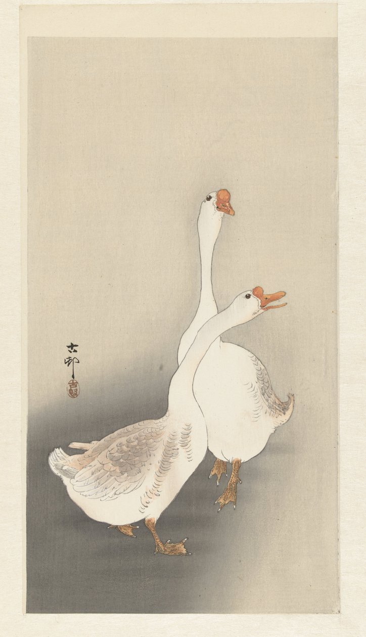 Deux oies - Ohara Koson
