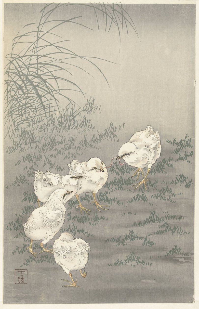 Cinq poussins - Ohara Koson