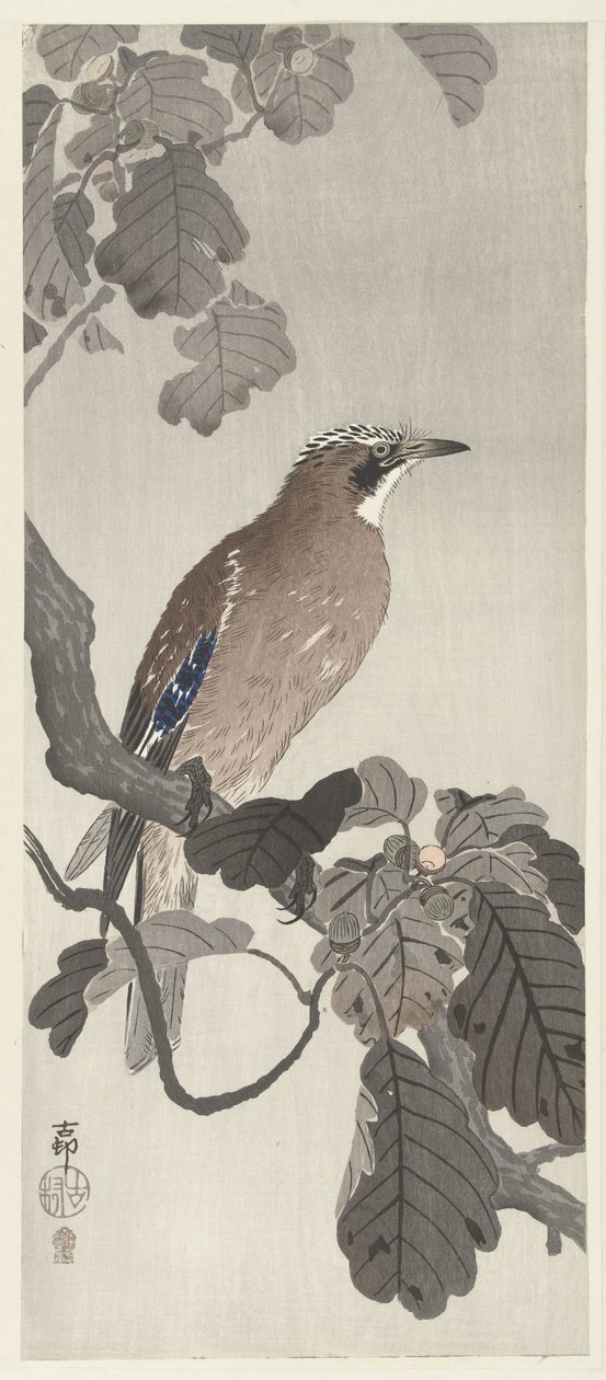 Geai des chênes sur une branche - Ohara Koson