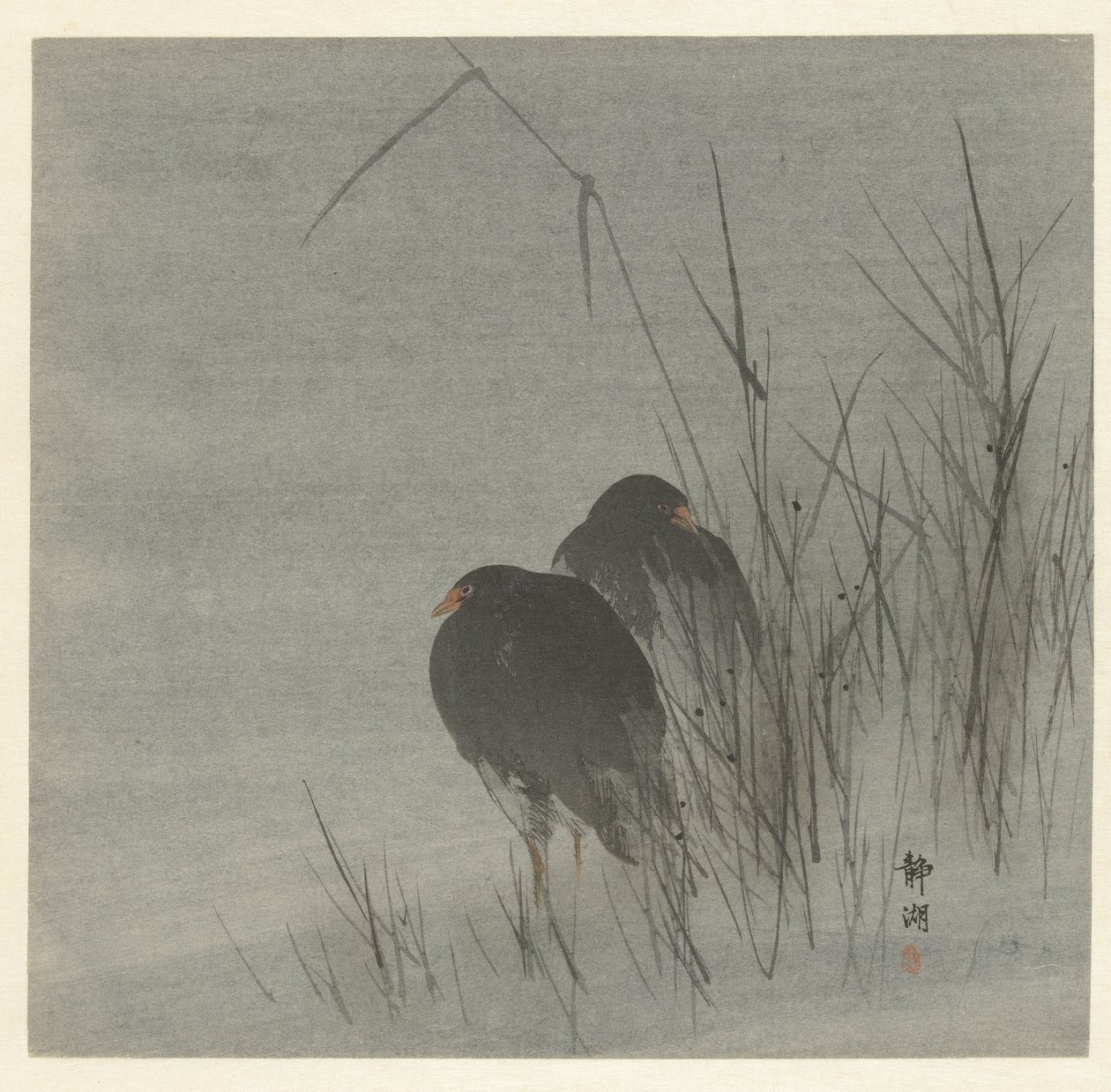 Deux foulques parmi les roseaux - Okuhara Seiko