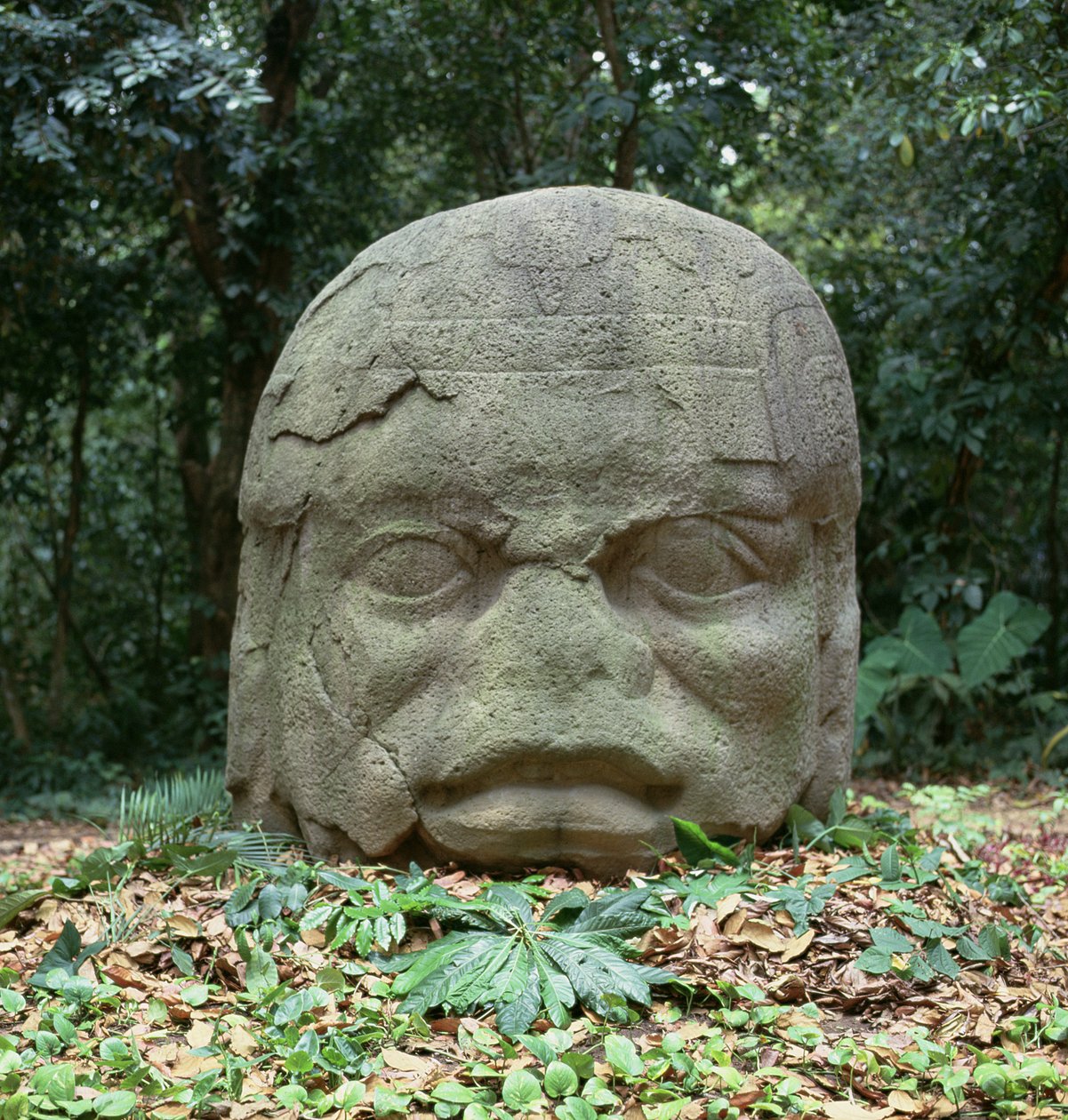 Tête colossale 4, période préclassique - Olmec