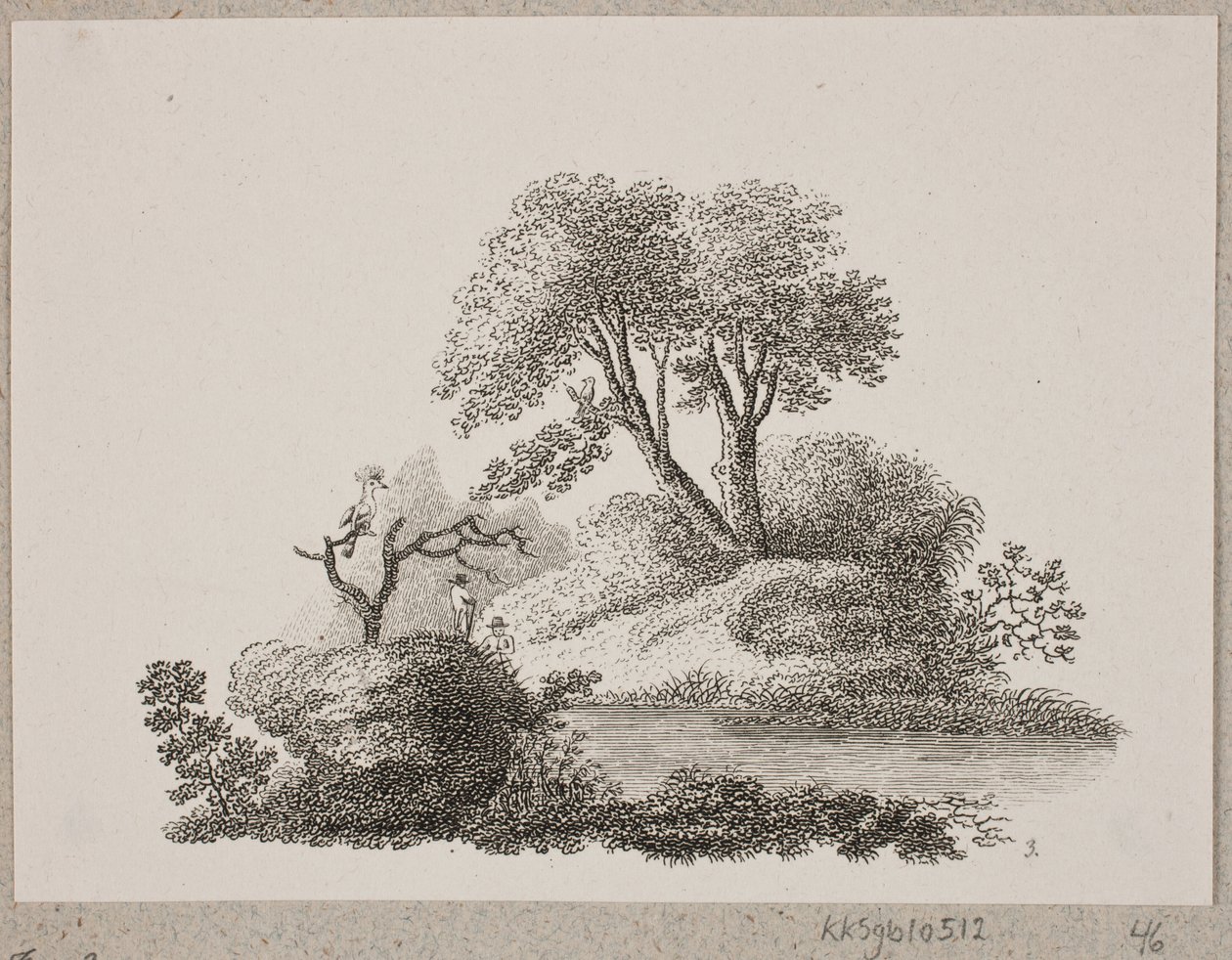 La huppe et le rossignol - Oluf Olufsen Bagge
