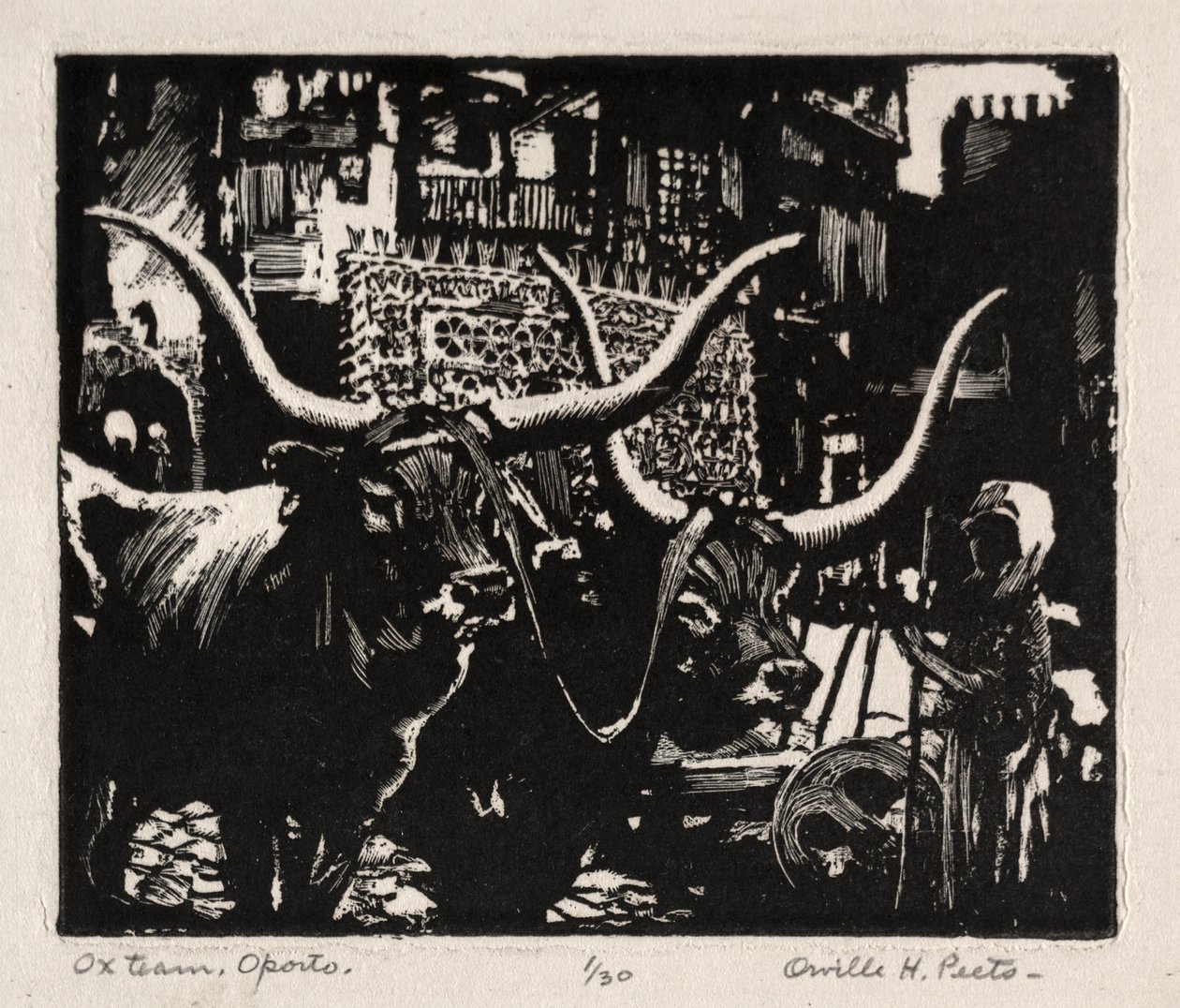 Ox Team, Porto - Orville Houghton Peets