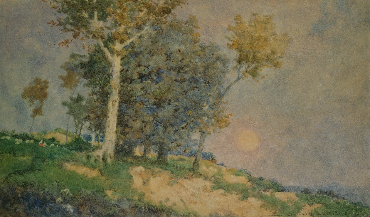 Un été dans les champs - Oswald Garside