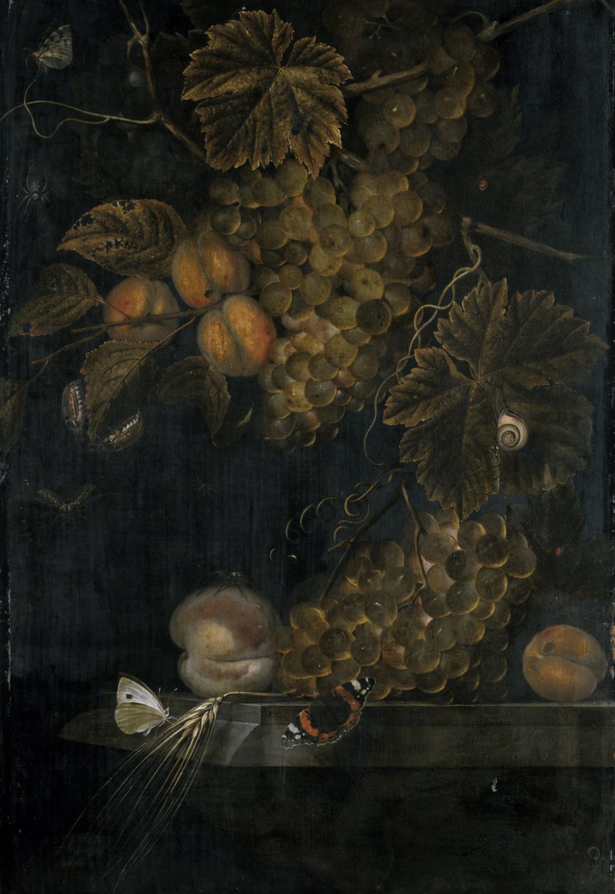 Nature morte avec pêches et raisins, 1665 - Ottmar the Elder Elliger