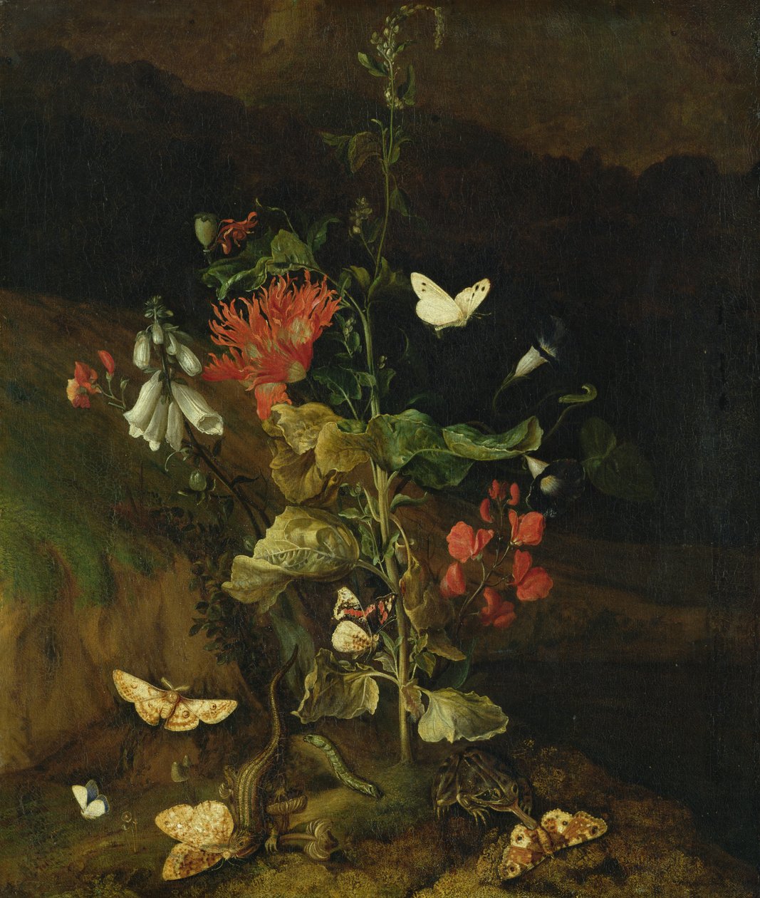 Étude de fleurs - Otto Marseus  van Schrieck