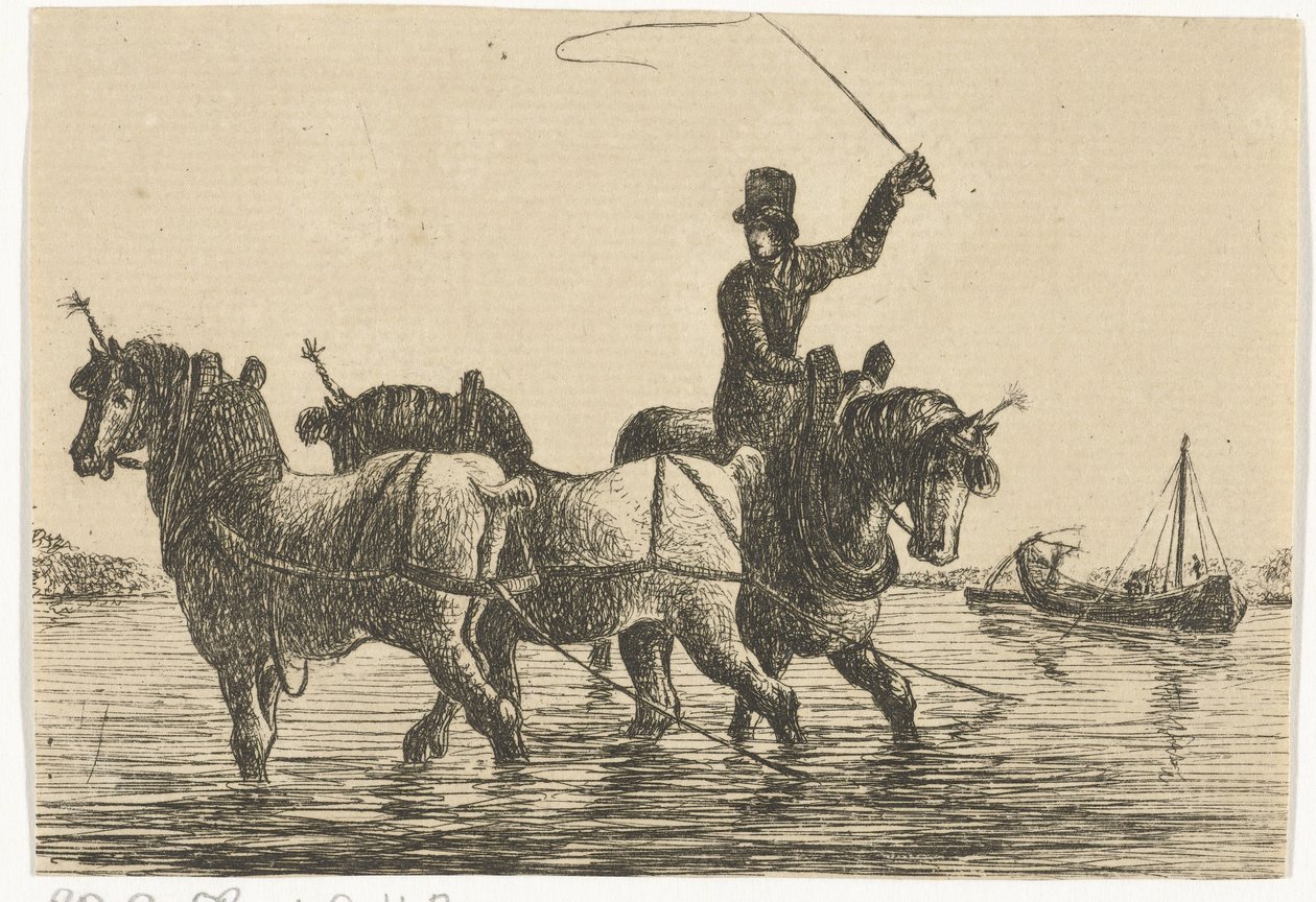 Trois chevaux de trait dans l