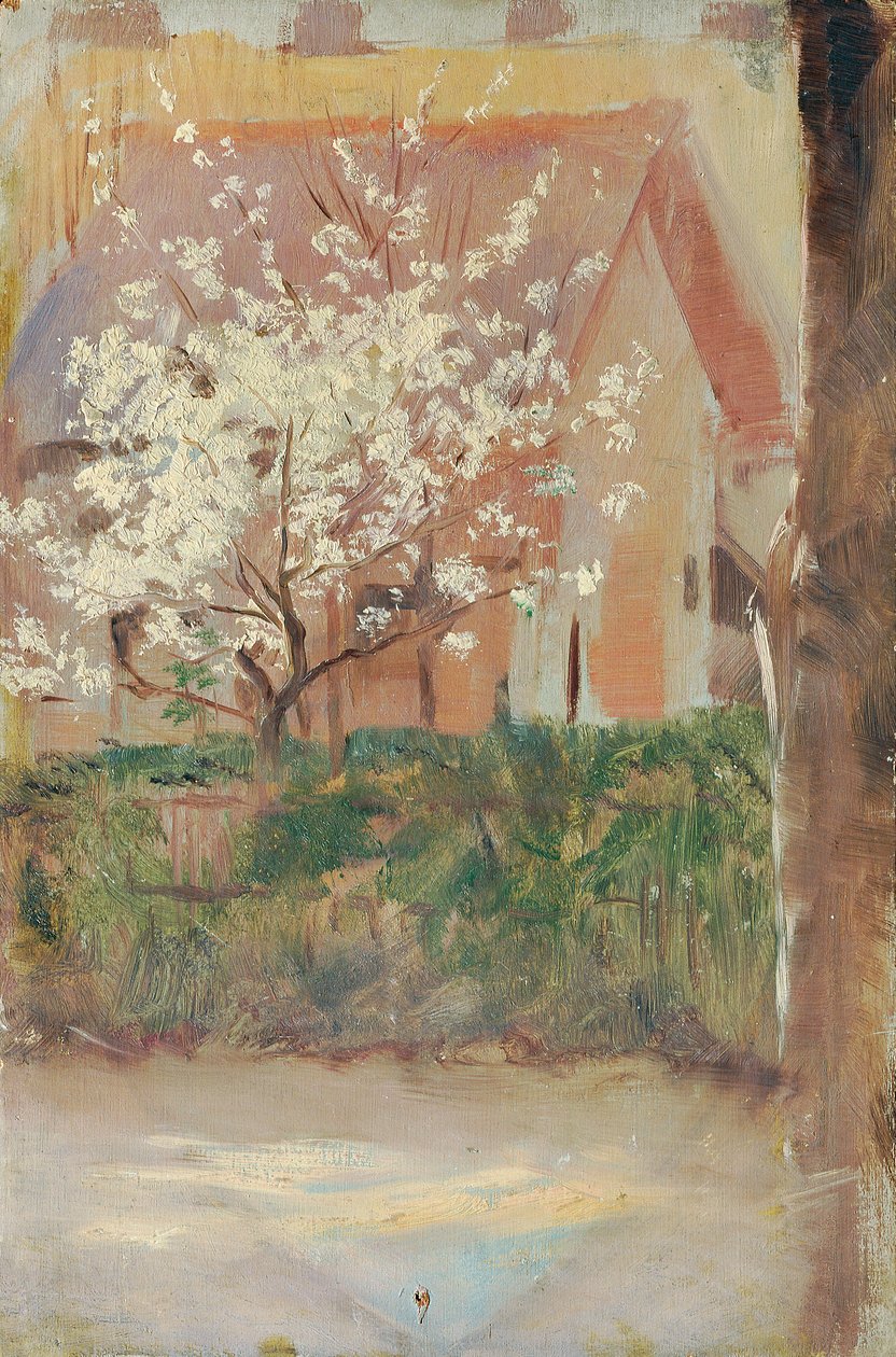 Arbre à fleurs blanches dans le jardin de devant - Otto Friedrich