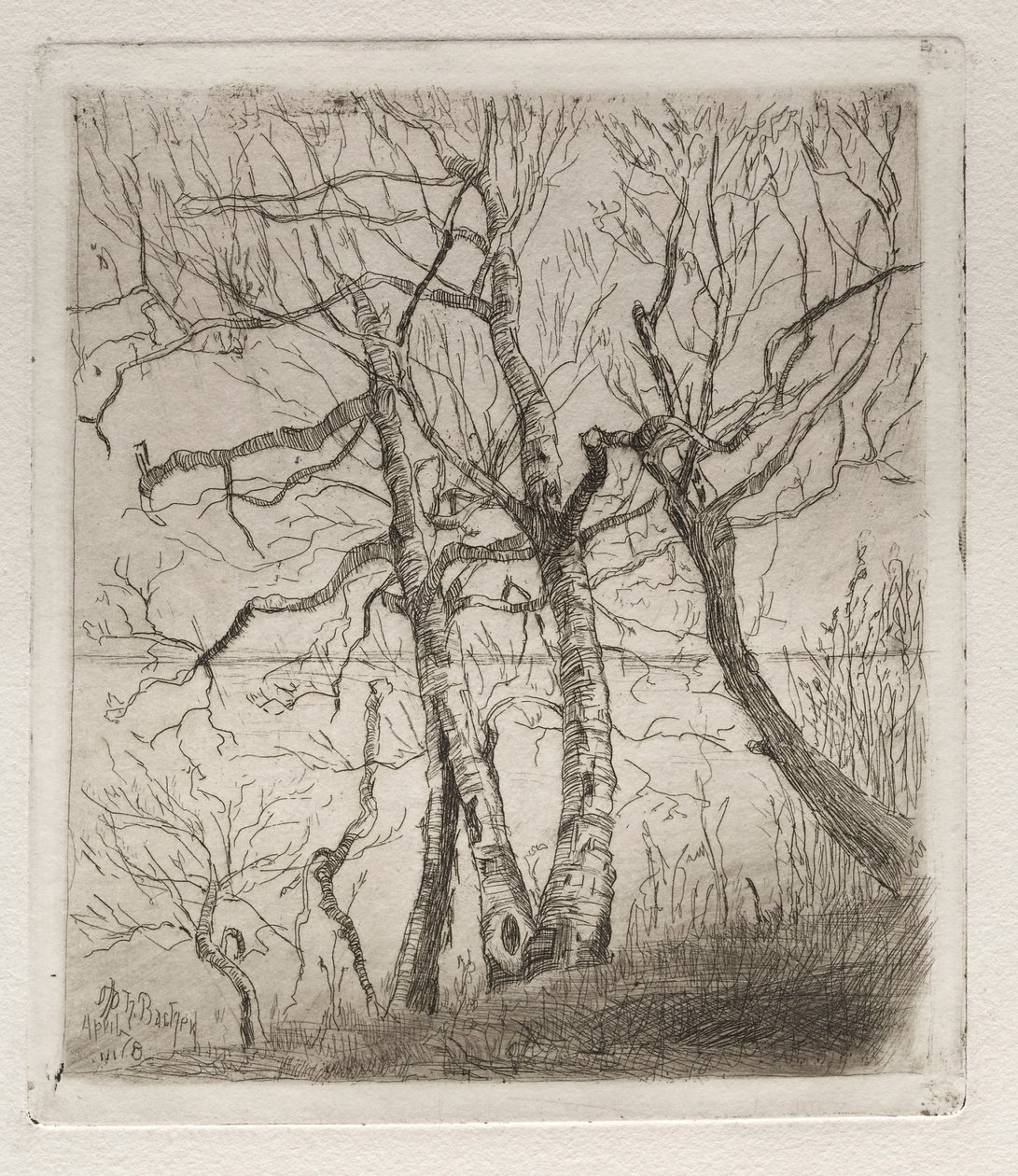 Bois au bord du lac - Otto H. Bacher