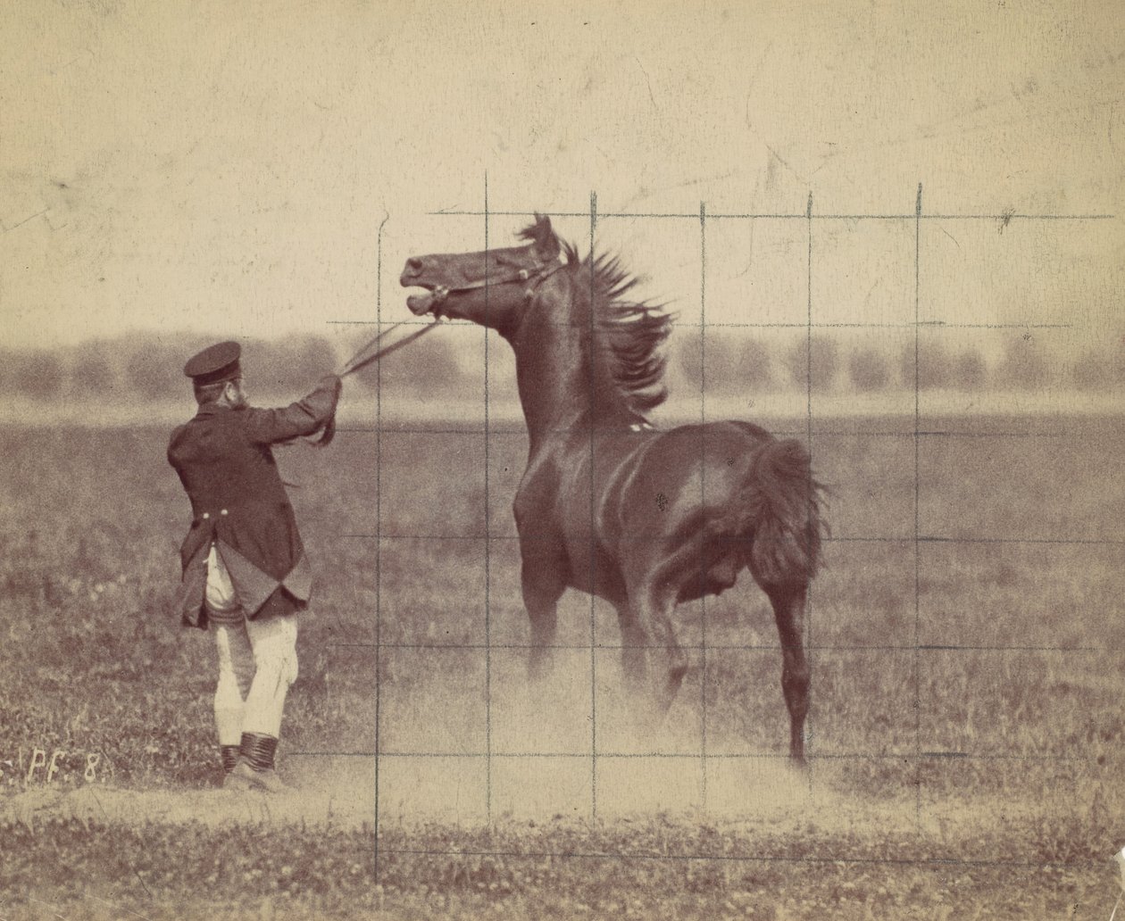 Cheval, 1884 - Ottomar Anschütz