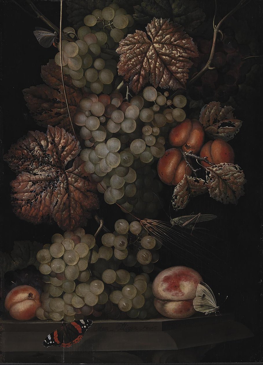 Nature morte - Ottomar Elliger d.Æ.