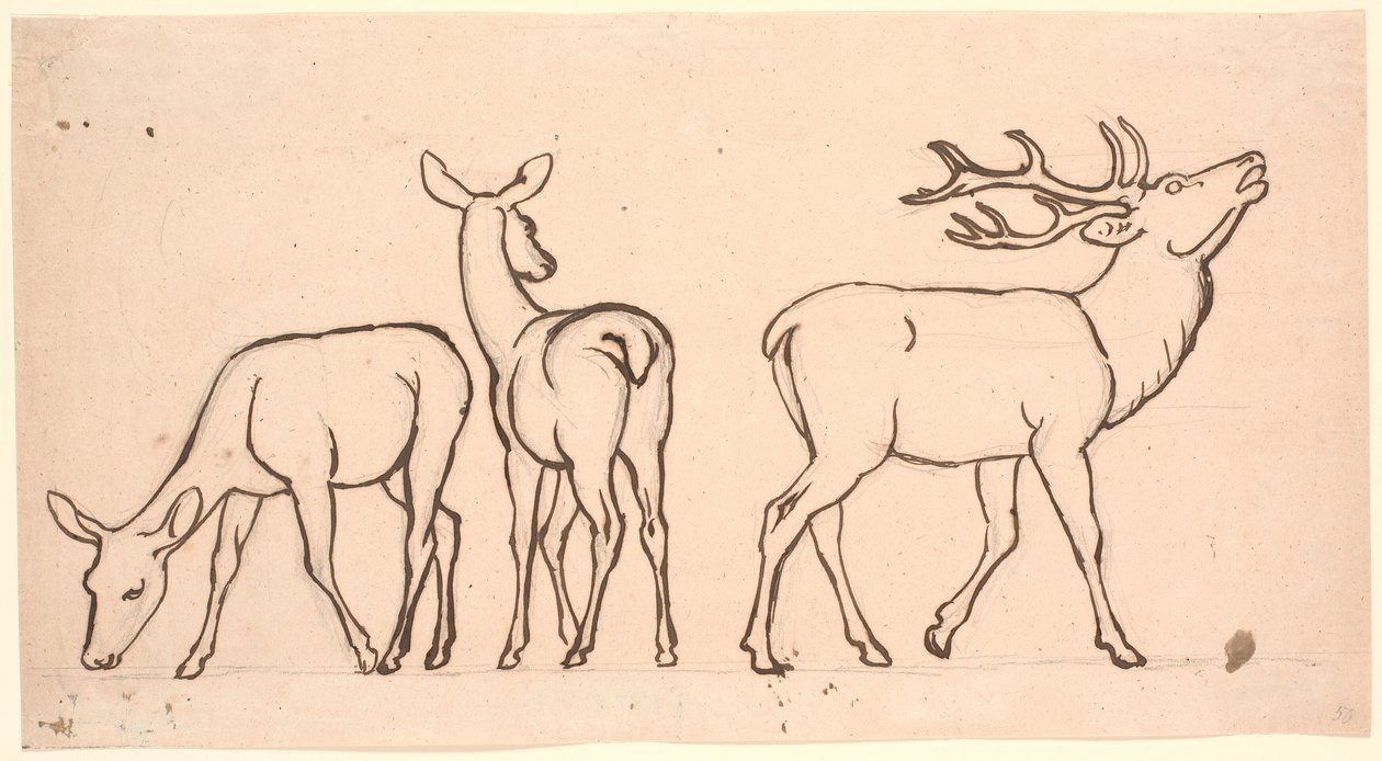 Cerfs et deux biches - P.C. Skovgaard