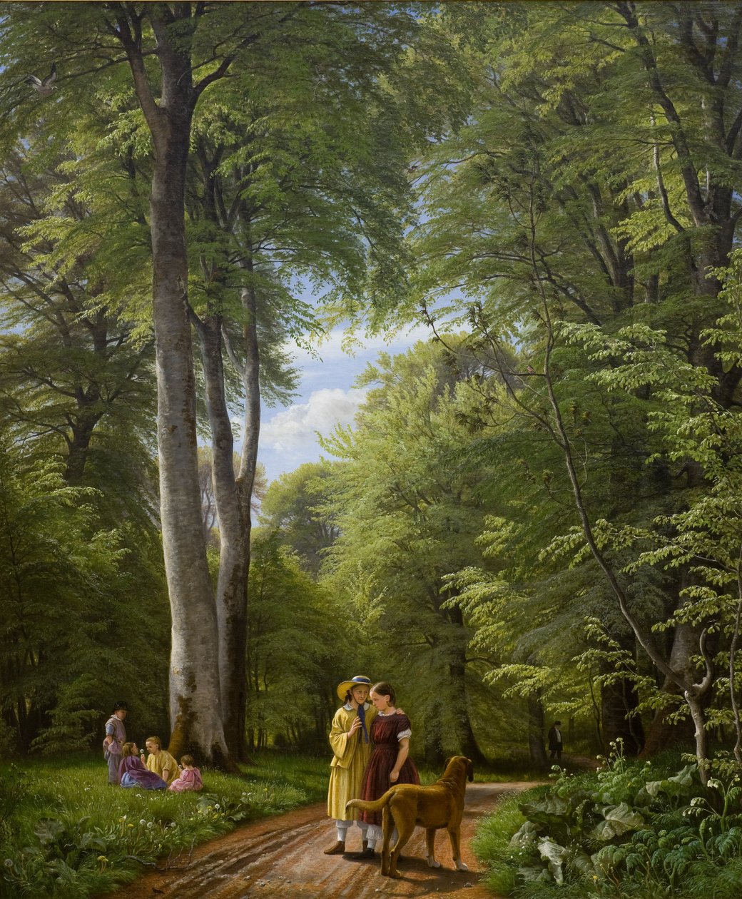 Forêt de hêtres en mai. Motif d