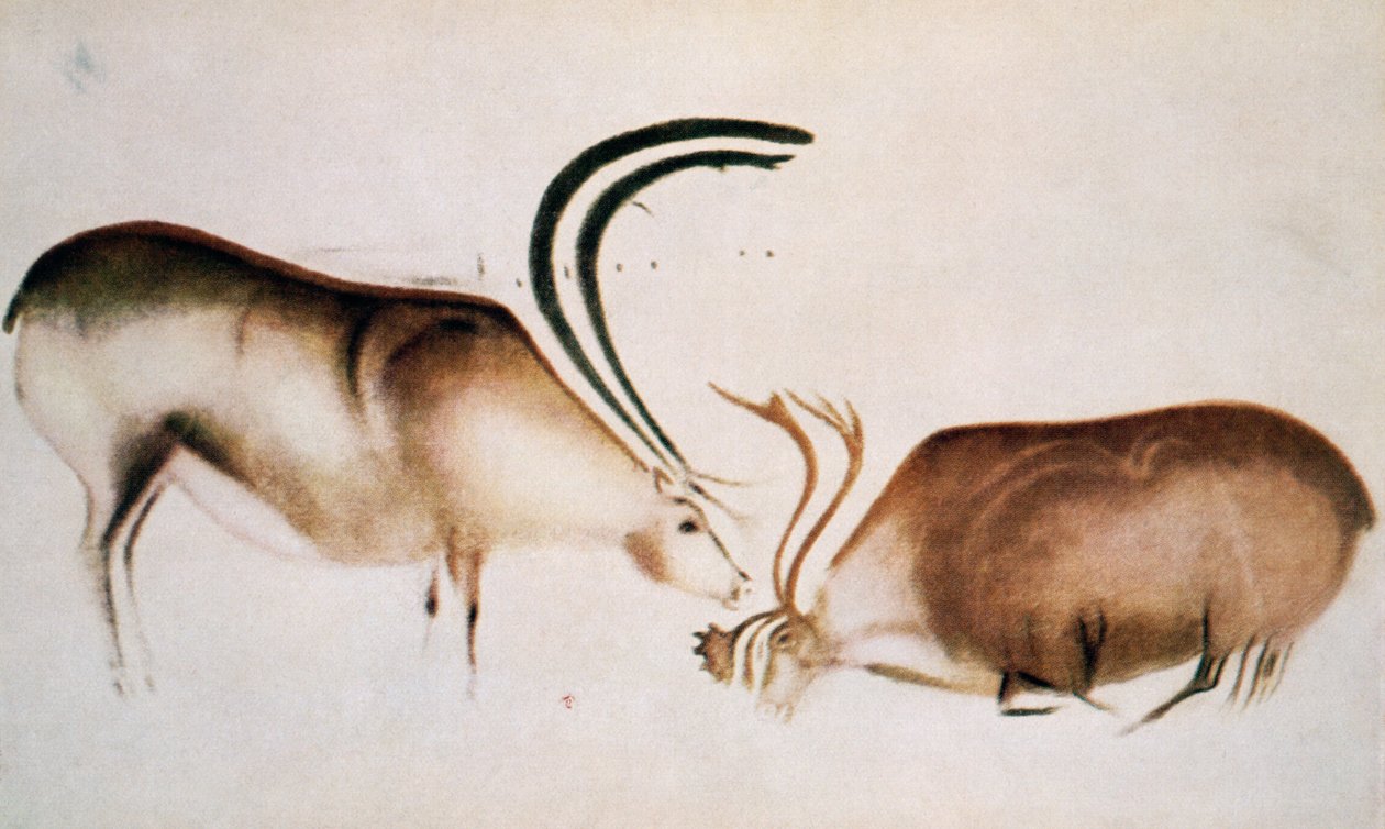 Cerfs mâle et femelle, école magdalénienne, vers 13000 av. J.-C. (peinture rupestre) - Paleolithic