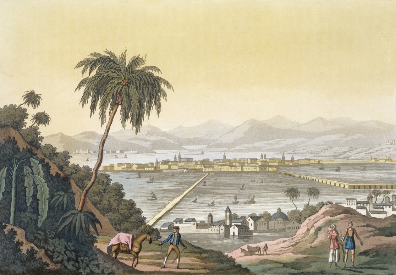 Vue de Mexico (gravure en couleur) - Paolo Fumagalli