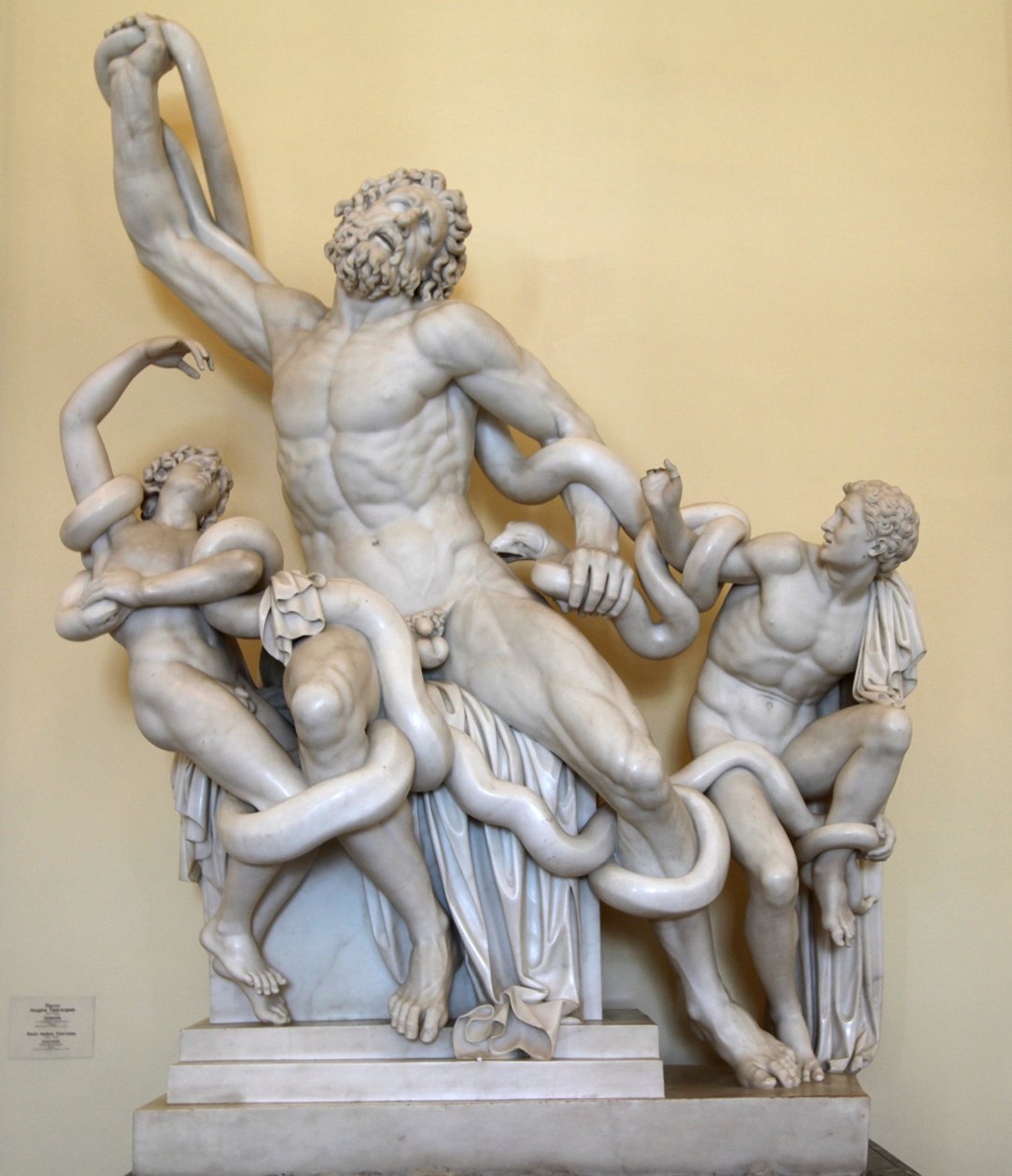 Laocoon, 1789 - Paolo Andrea Triscornia