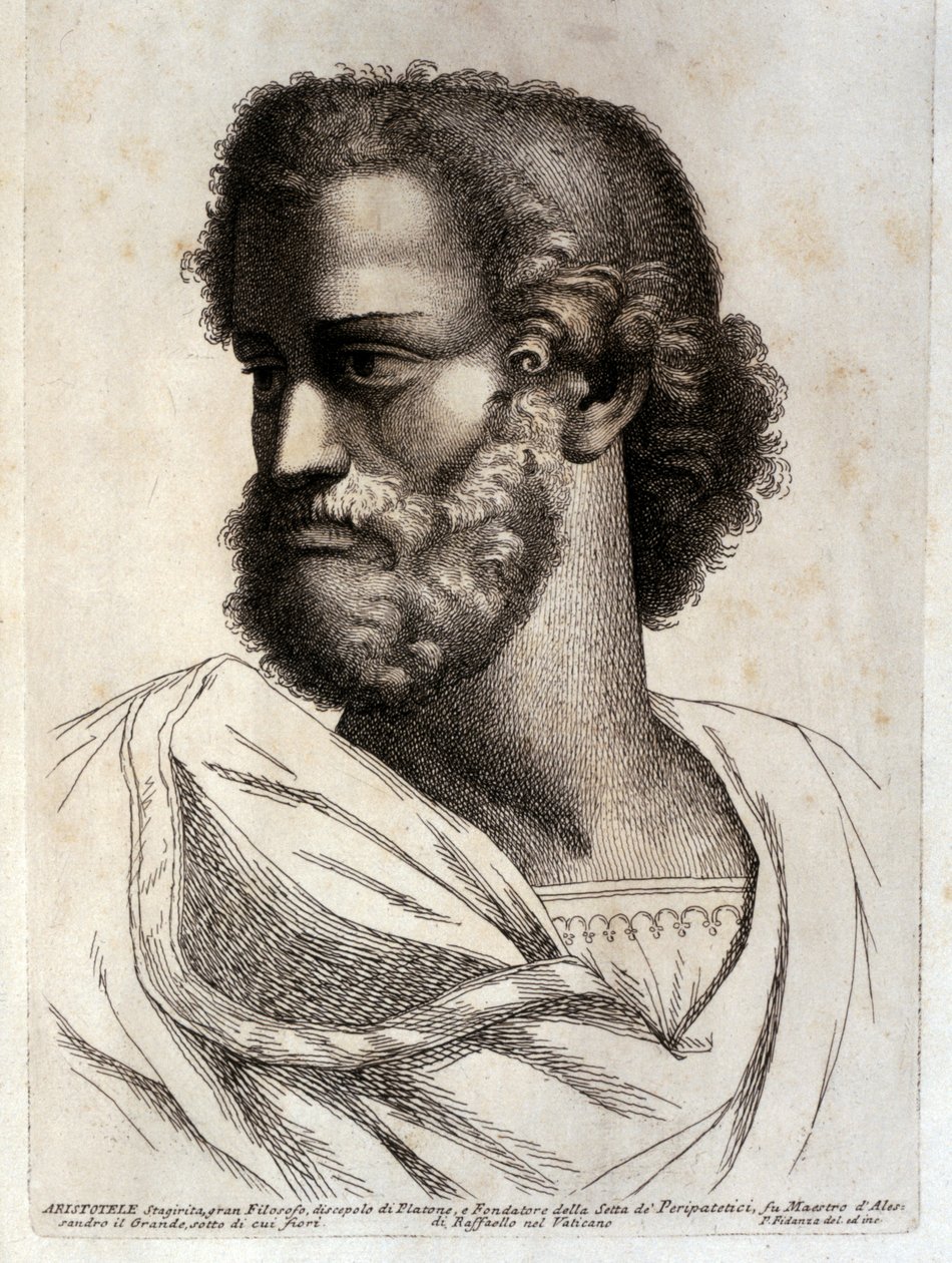 ARISTOTLE - Paolo Fidanza