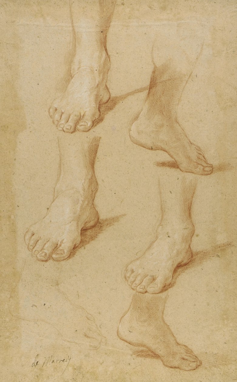Dessin - Paolo de Matteis