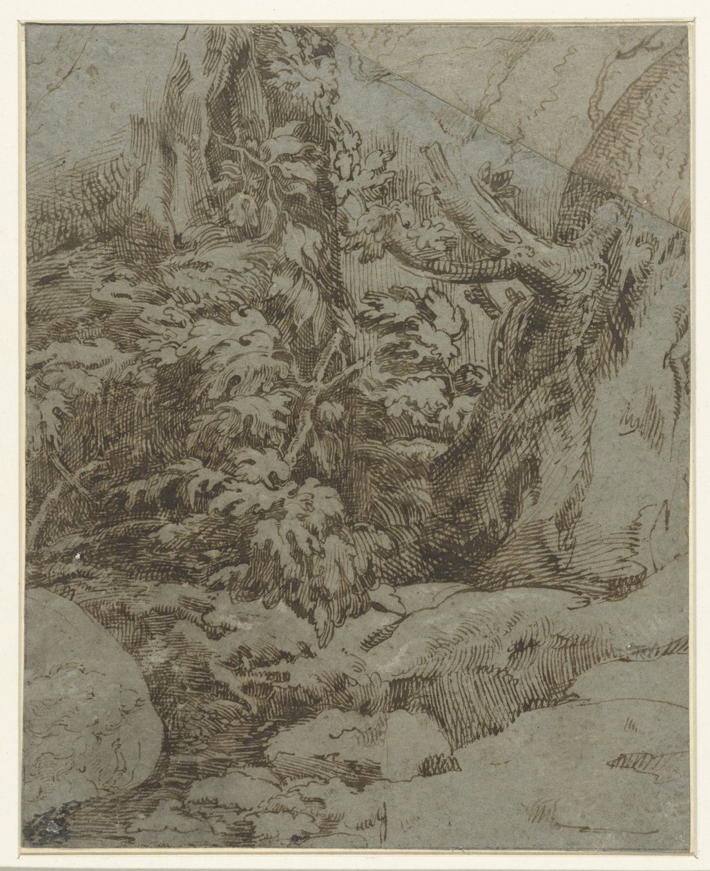 Étude de paysage - Parmigianino